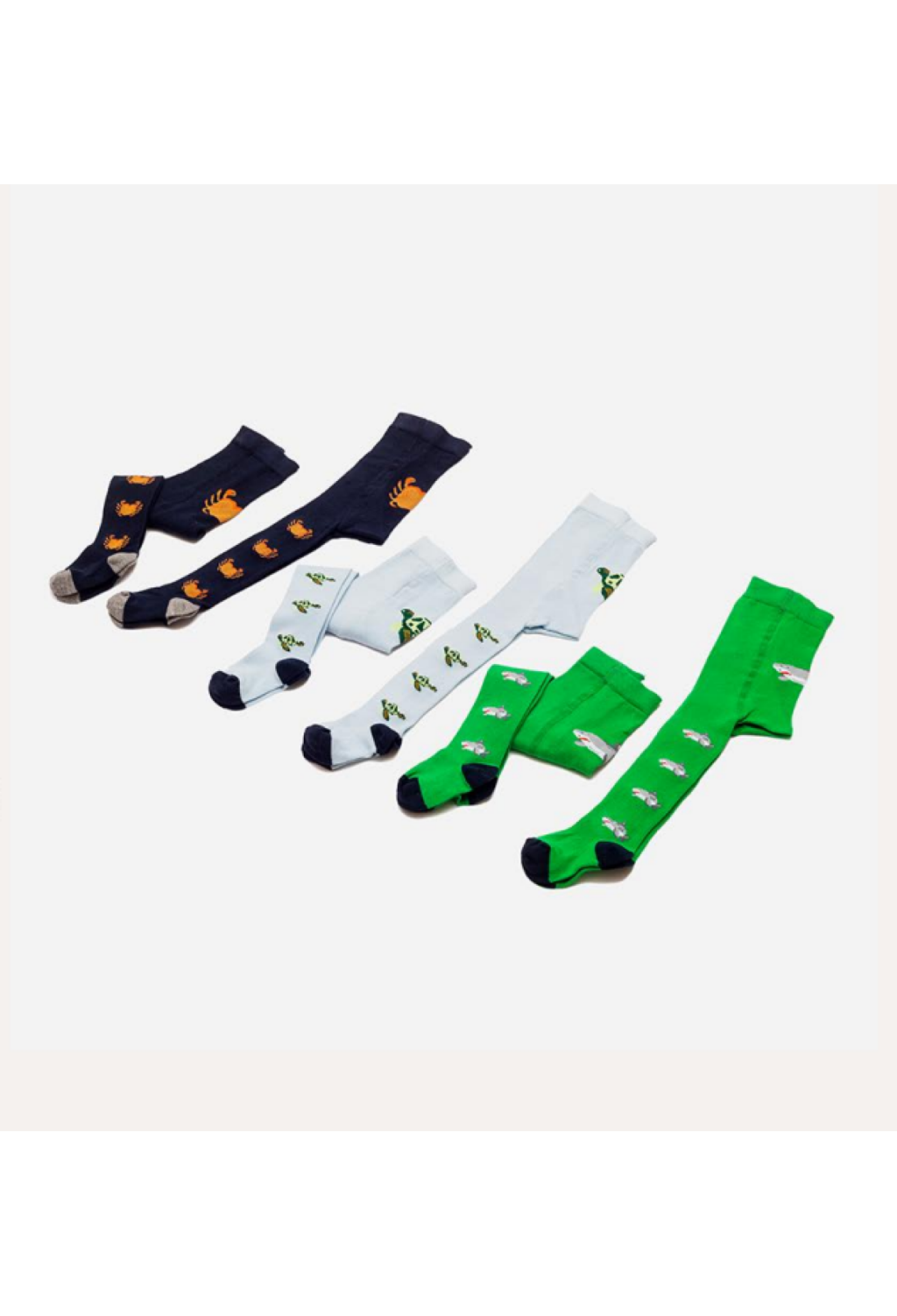 Erkek 6'lı Külotlu Çorap 1064-1064-EKLT-013-21(18-24) - 1064-1064-EKLT-013-21(18-24) - Brand: Defne - Kids & Bby Clothes From Peralane Kids Turkey