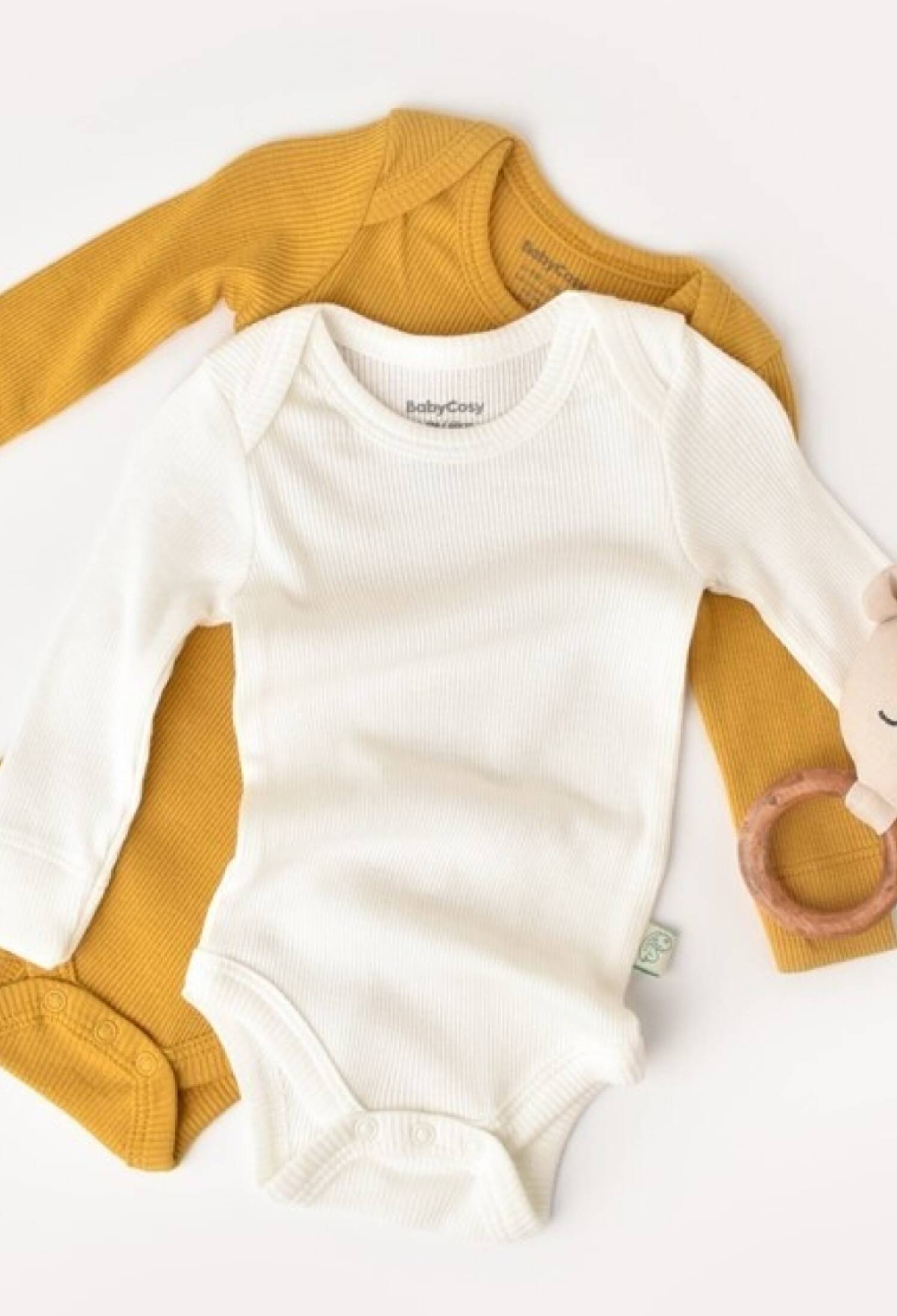 Toptan Bebek Modal 2 Li Uzun Kollu Body 3-24M Baby Cosy 2022-CSYM11309 - 2022-CSYM11309 - Brand: BabyCosy - Kids & Bby Clothes From Peralane Kids Turkey