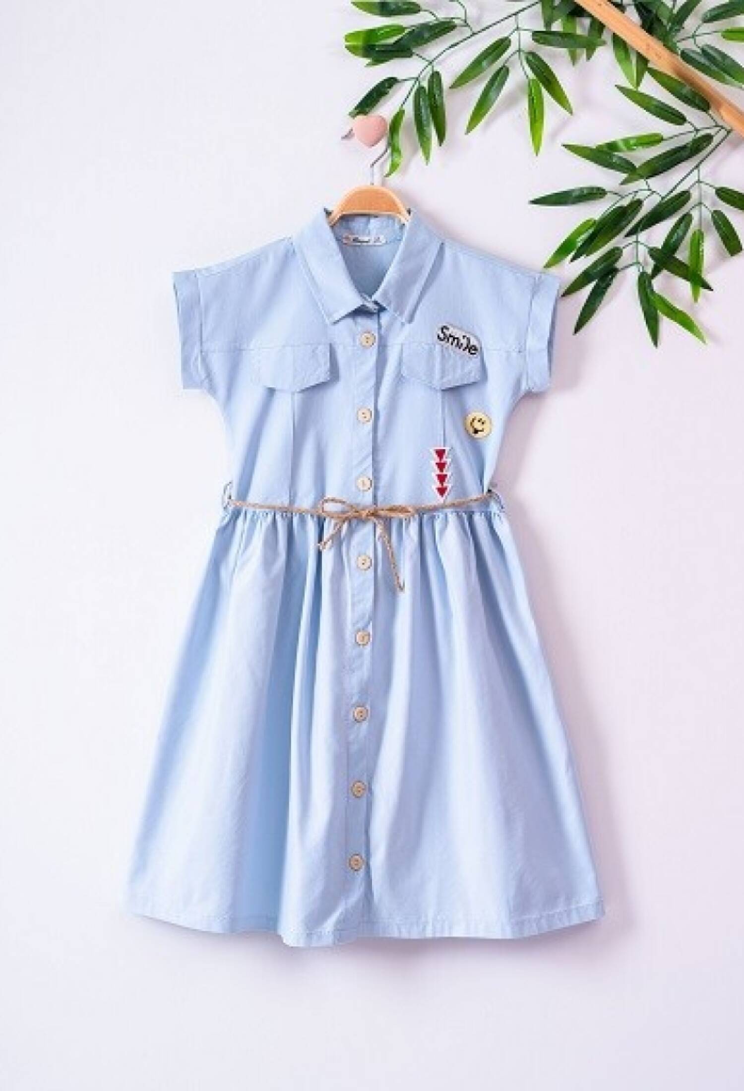 Embroidered Dress