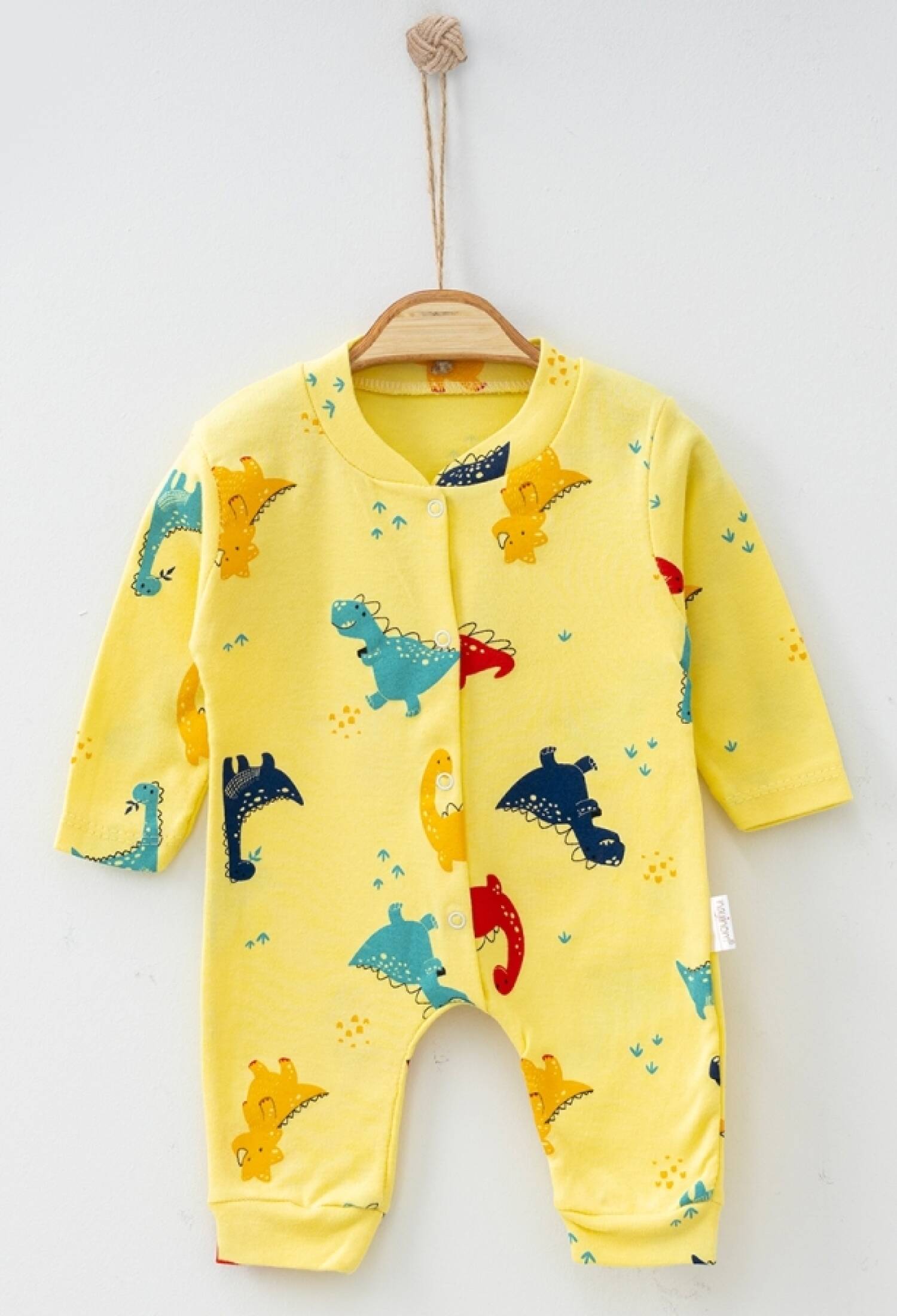 Baby Boys Dinosaur Patterned Jumpsuit