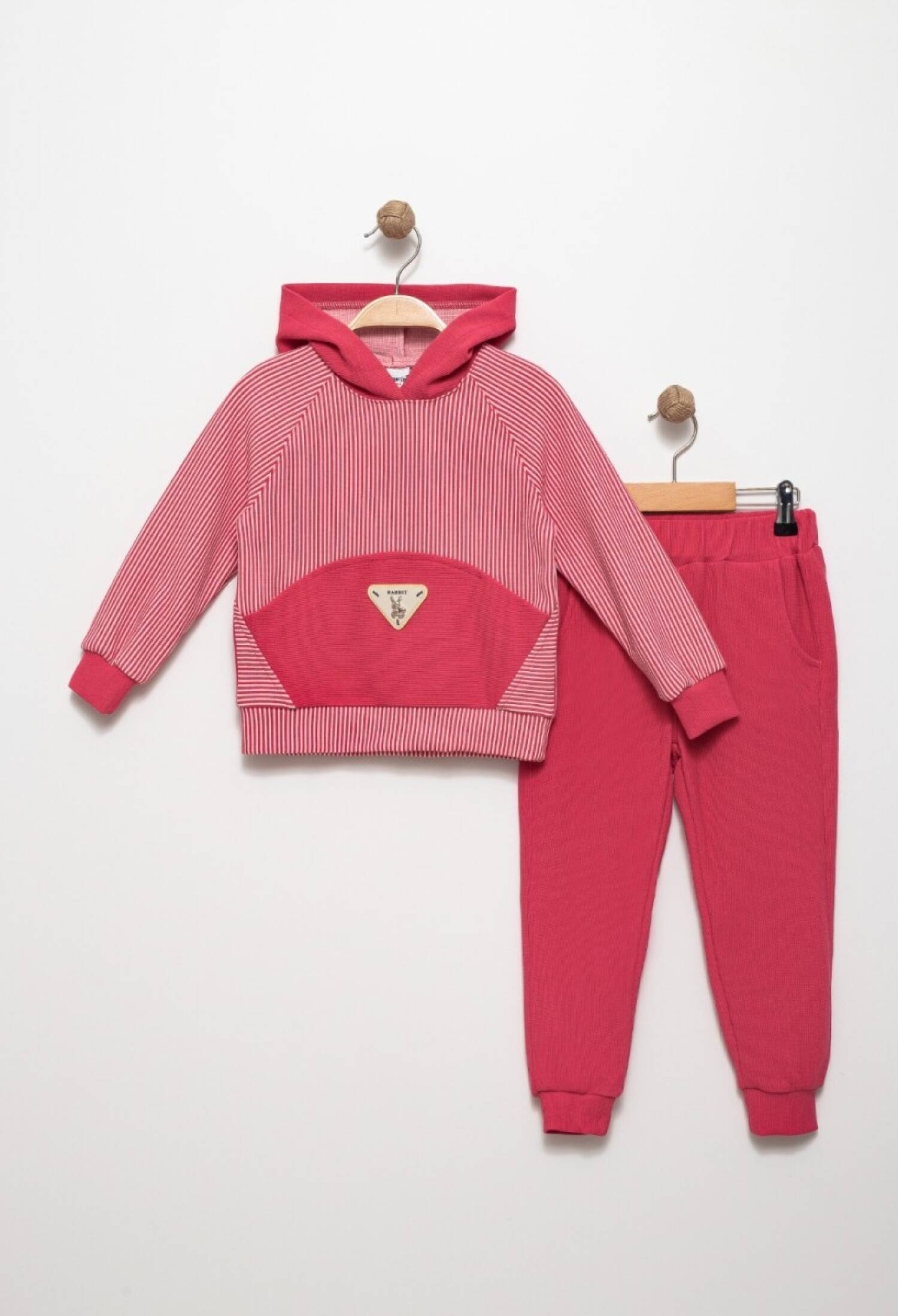 Girls' Hooded Tracksuit Set, Ages 4-8, Pafim 2041-K24-8001